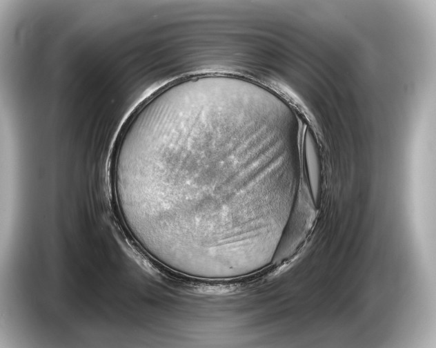 X0000085750892200704091314