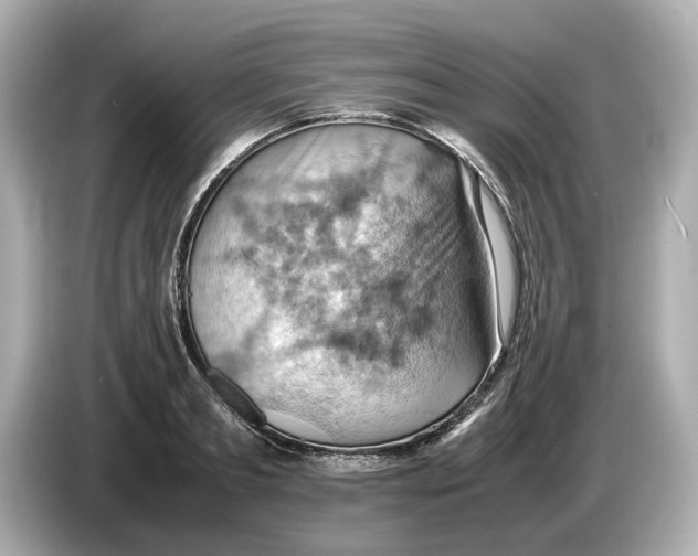 X0000085750893200704091314