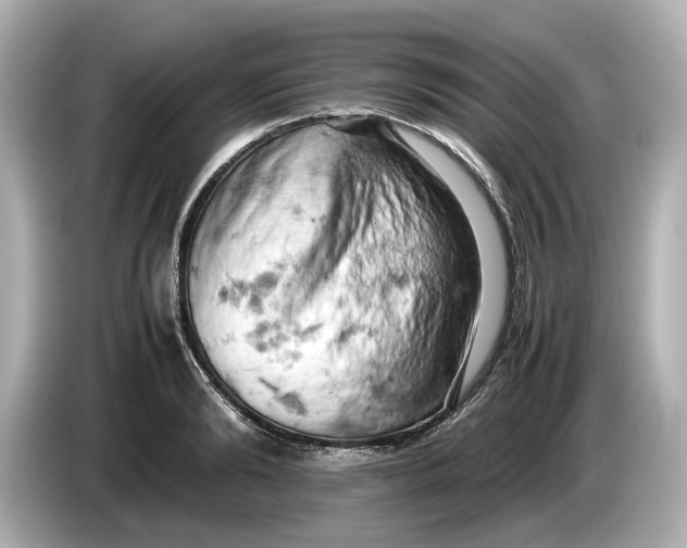 X0000085750894200704091314