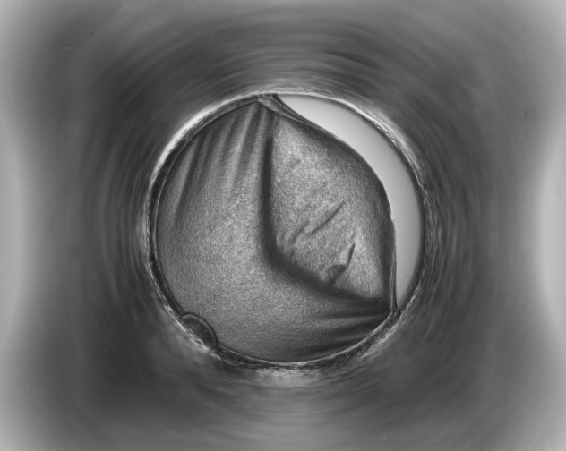 X0000085750896200704091314