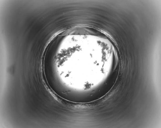 X0000085750898200704091314