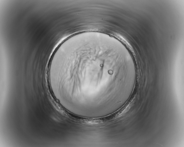 X0000085750899200704091314