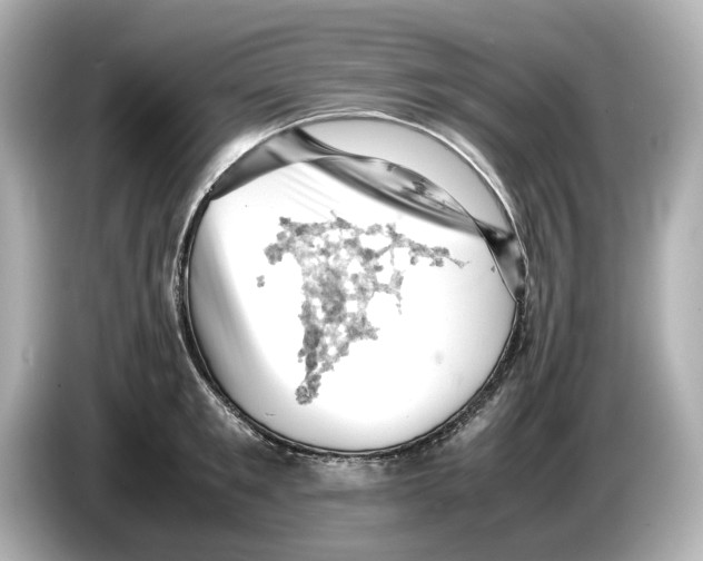 X0000085750901200704091314