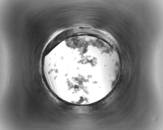 X0000085750902200704091314