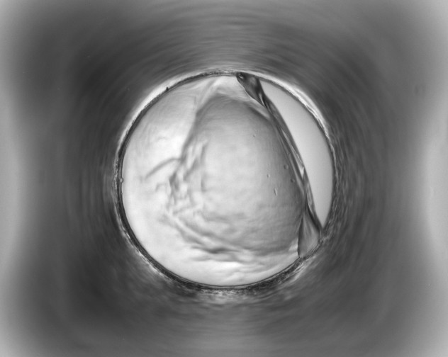 X0000085750903200704091314