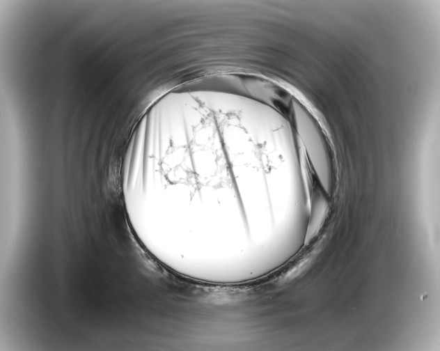 X0000085750905200704091314