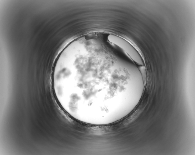 X0000085750906200704091314