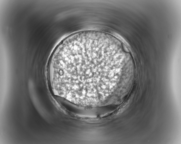 X0000085750907200704091314