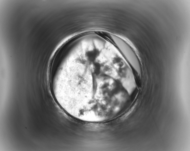 X0000085750910200704091314