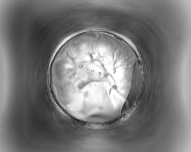 X0000085750911200704091314