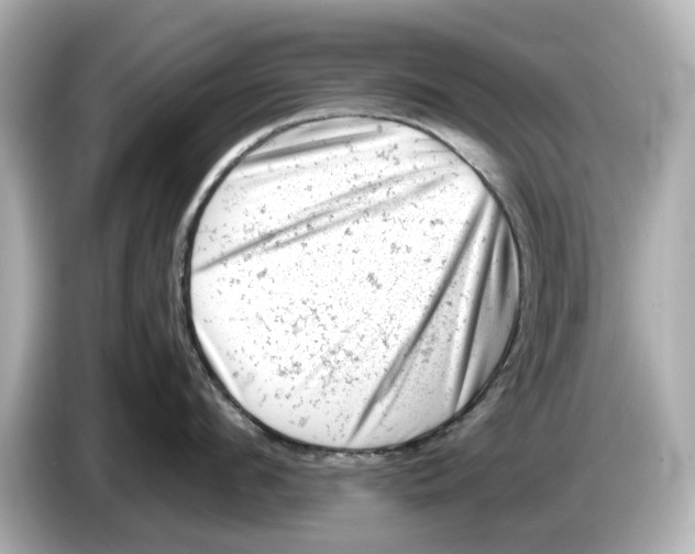 X0000085750912200704091313