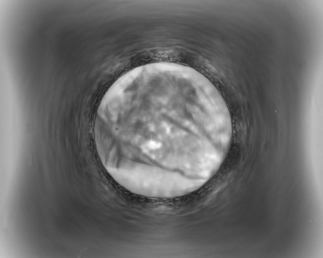 X0000085750913200704091313