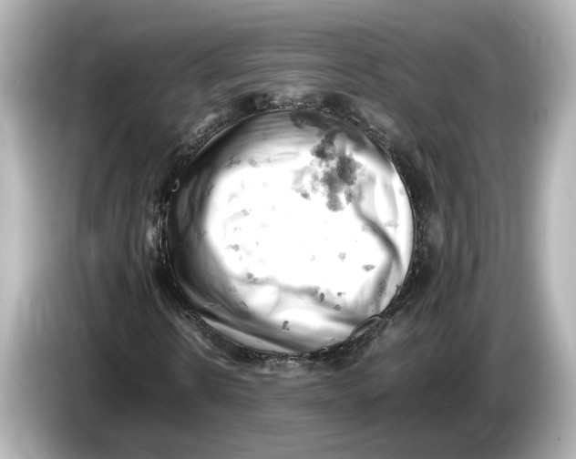 X0000085750914200704091313