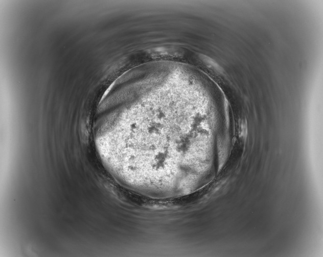 X0000085750915200704091313