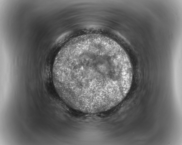 X0000085750918200704091313