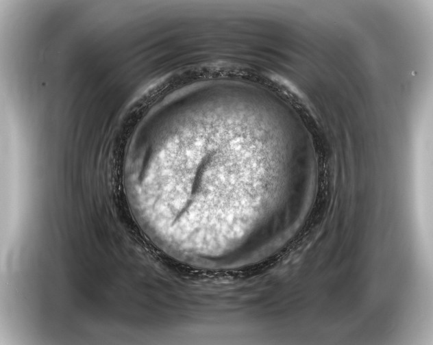 X0000085750919200704091313