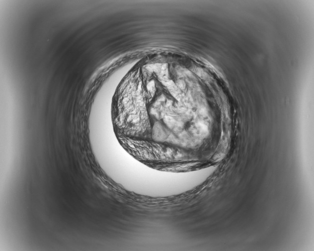 X0000085750920200704091313