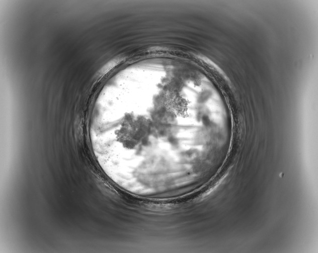 X0000085750921200704091313