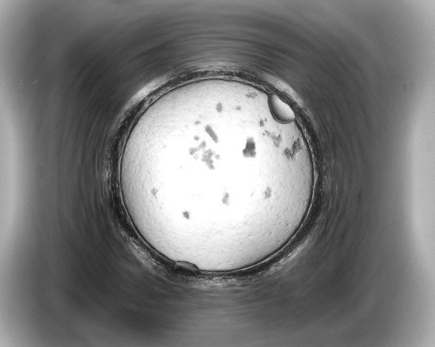 X0000085750922200704091313