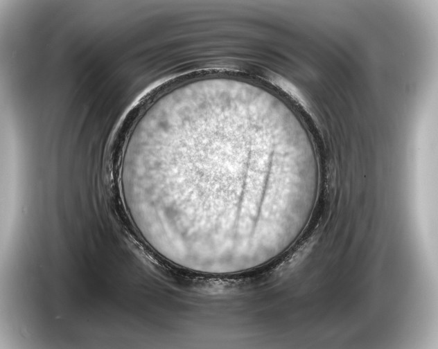 X0000085750923200704091313