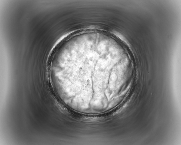 X0000085750925200704091313