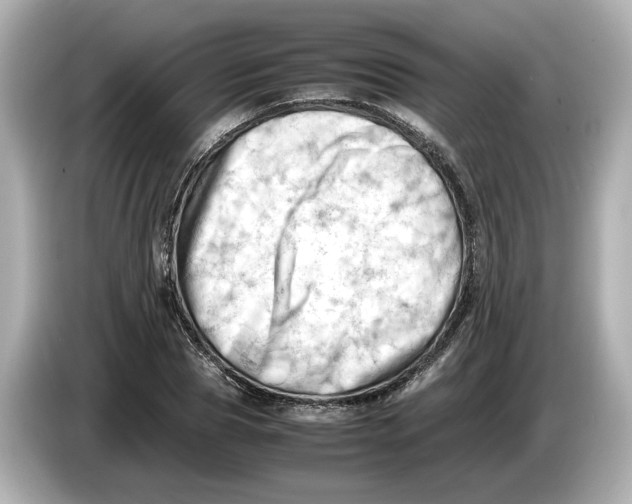 X0000085750929200704091313