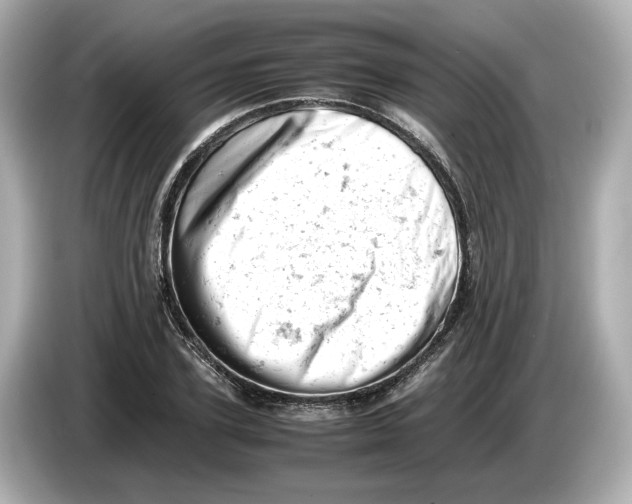 X0000085750931200704091313