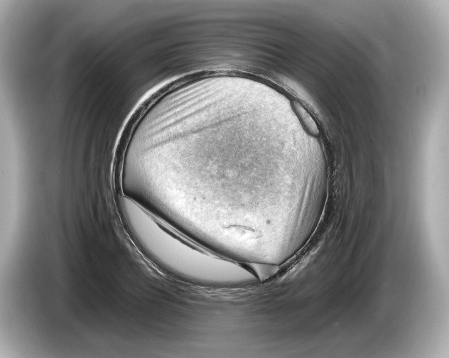 X0000085750932200704091313