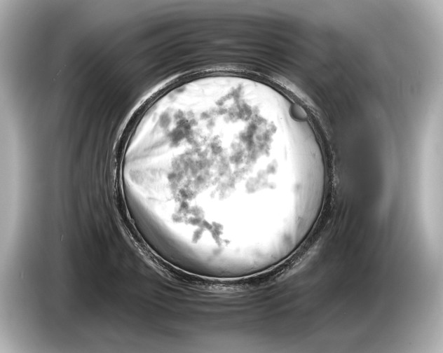 X0000085750933200704091313