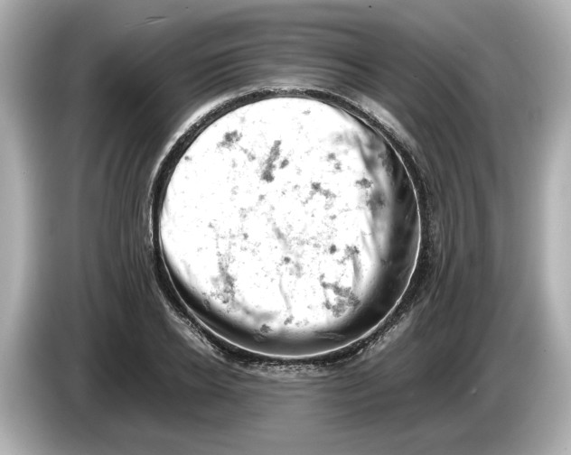 X0000085750934200704091313