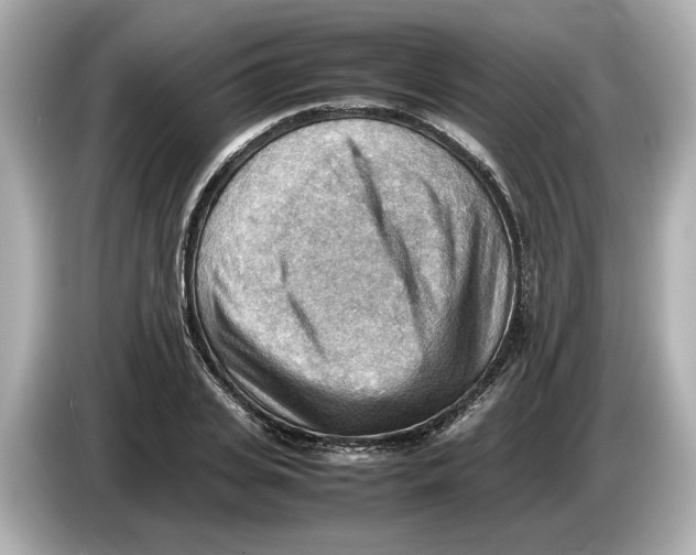 X0000085750935200704091313