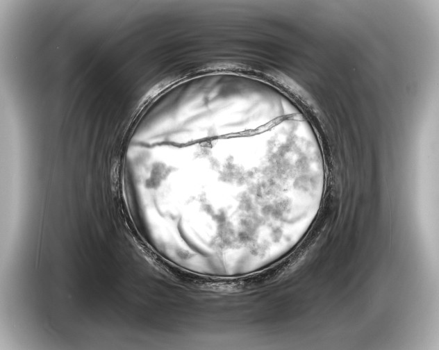 X0000085750937200704091313