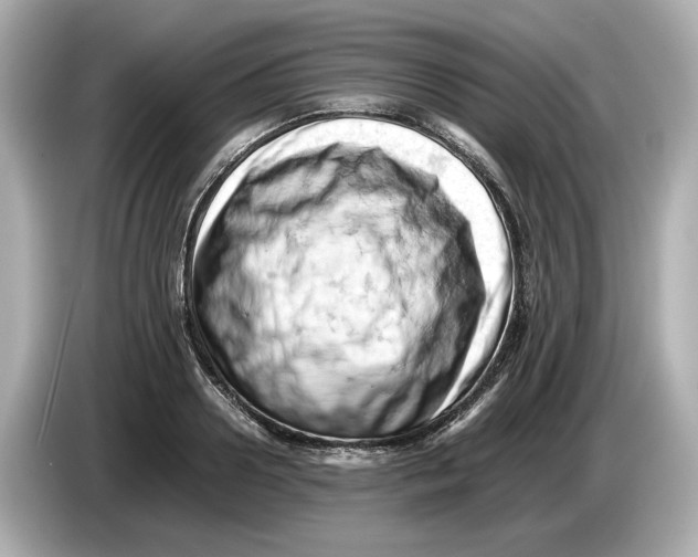 X0000085750938200704091313