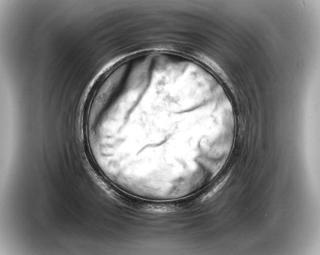 X0000085750939200704091313