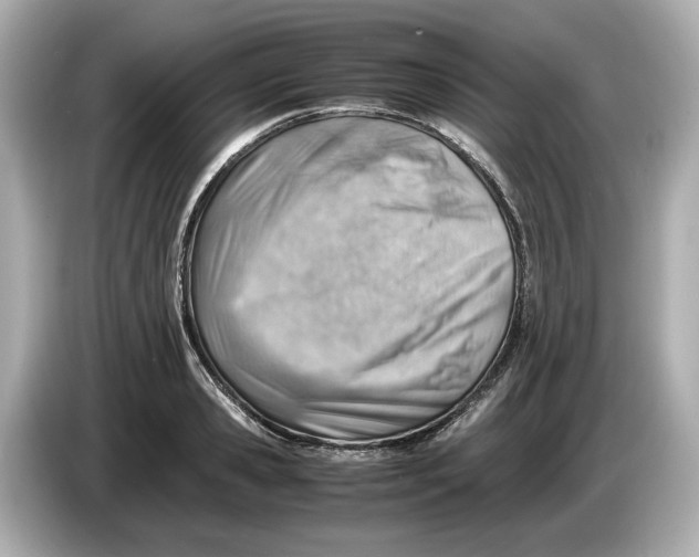 X0000085750941200704091313