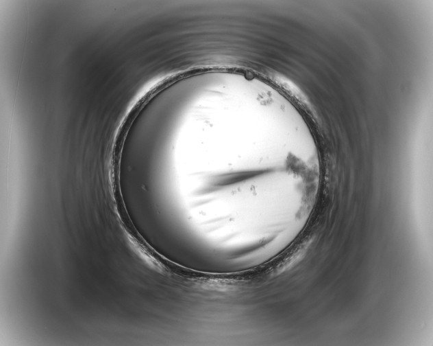 X0000085750942200704091313