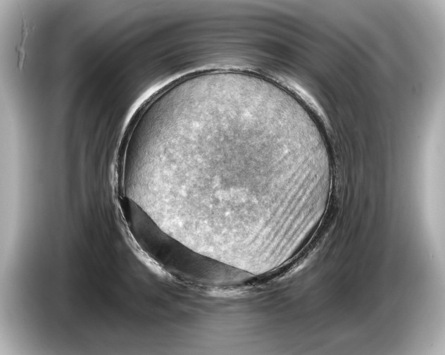 X0000085750944200704091313