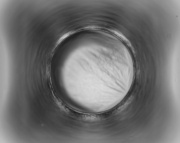 X0000085750945200704091313