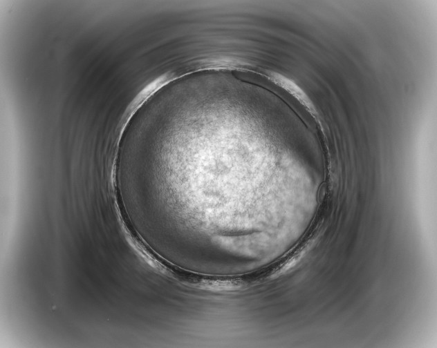 X0000085750946200704091313