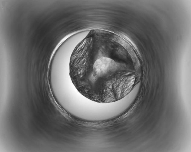 X0000085750948200704091313