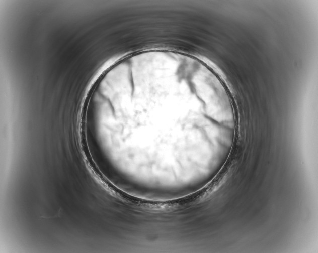 X0000085750949200704091313