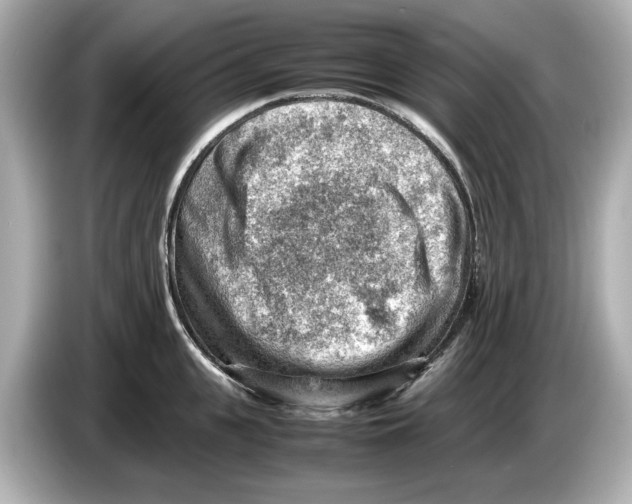 X0000085750951200704091313