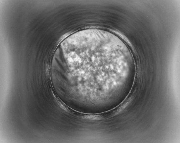 X0000085750953200704091313