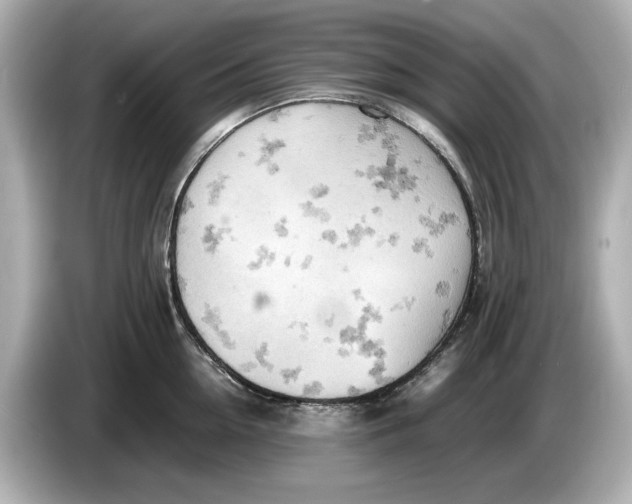 X0000085750954200704091313