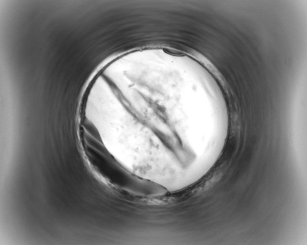 X0000085750955200704091313