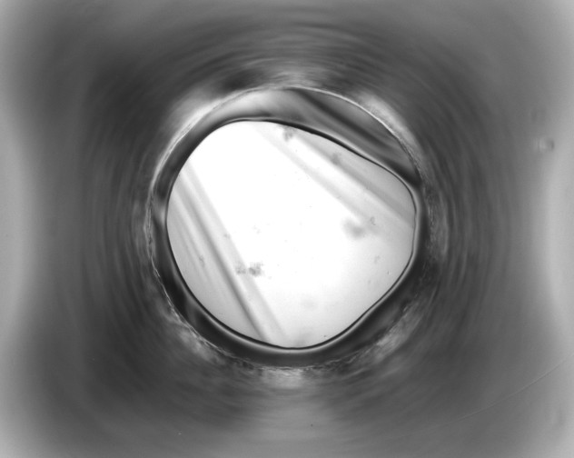 X0000085750956200704091313