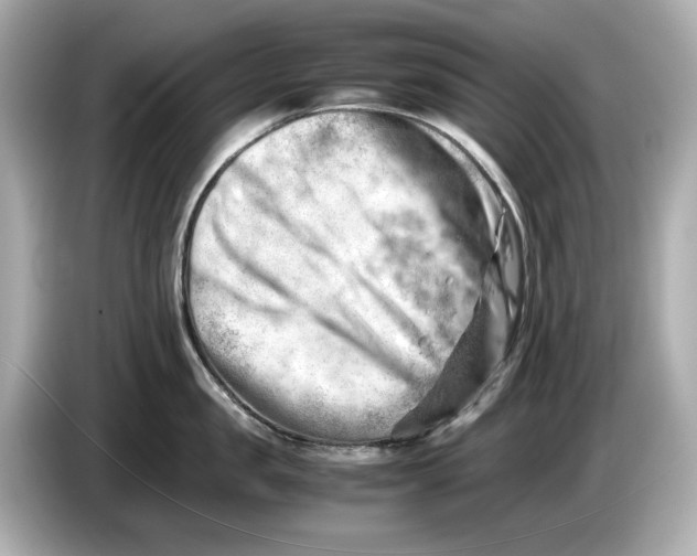 X0000085750957200704091313