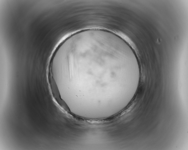 X0000085750958200704091313