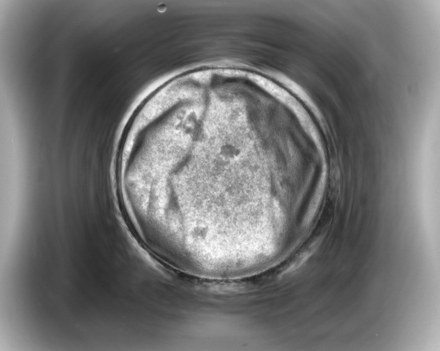 X0000085750959200704091313