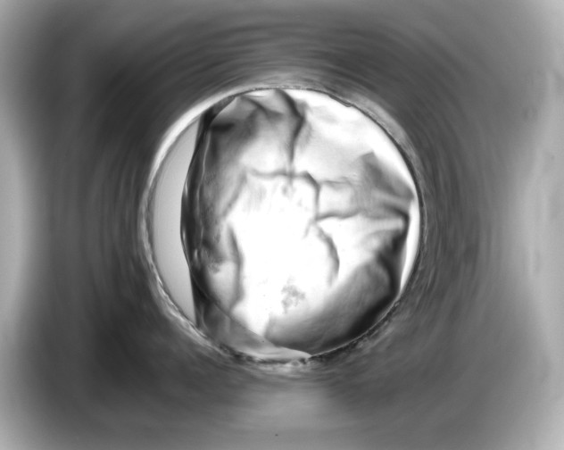 X0000085750960200704091313